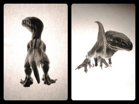 Raptor (with Kéri  Tibor)