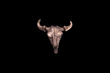 Buffalo Skull   Made of bronze Lenght: 6 cm / 2.36 in Width: 5 cm / 1.97 in