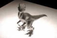 /album/kepgaleria-raptor/a1962766-255450981295933-1778971531-n-jpg/